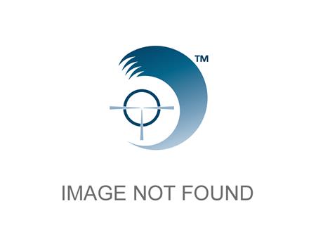 noimage